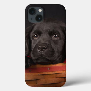 Etui iPhone Case-Mate Black labrador retriever puppy in a basket