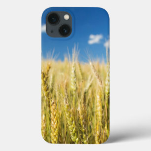 Etui iPhone Case-Mate Blé du Kansas