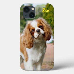 Case-Mate iPhone Case Blenheim Cavalier King Charles Spaniel Chien Chien