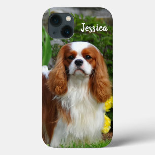 Case-Mate iPhone Case Blenheim Cavalier King Charles Spaniel Chien Chien