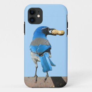 Case-Mate iPhone Case Bleu mou Oiseau de Jay