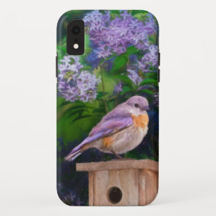 Case-Mate iPhone Case Bleuet de l'Est en neige - Photo originale