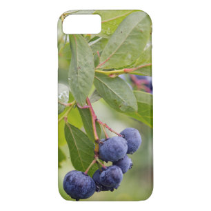 Coque iPhone 8/7 bleuets sur la brousse
