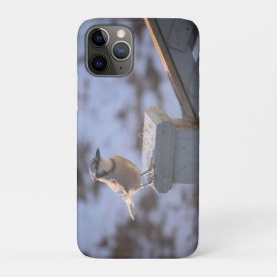 Case-Mate iPhone Case Blue Jay