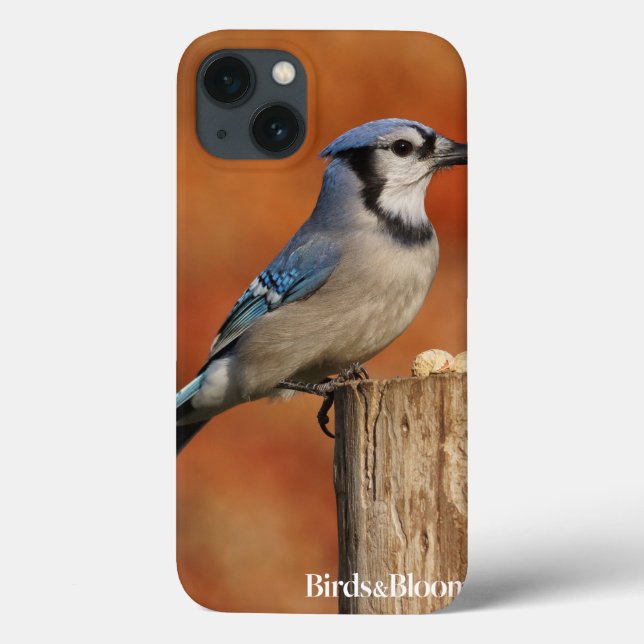 Coques Case-Mate iPhone Blue Jay (Verso)