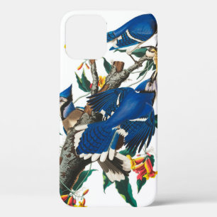 Case-Mate iPhone Case Blue Jay par John James Audubon