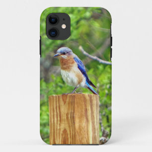 Coque Case-Mate Pour iPhone Bluebird sur un poteau de clôture