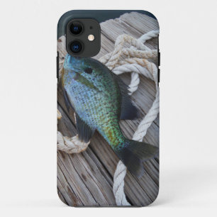 Coques Pour iPhone bluegill sur quai