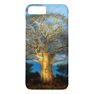 Coque Case-Mate Pour iPhone Bobab (Adansonia) Arbre Éclairé Par La Lune
