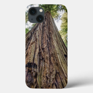iPhone 13 Case Bois de Roosevelt
