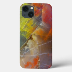 Case-Mate iPhone Case Bois Pétrifié aux Couleurs de l'Arc-en-Ciel