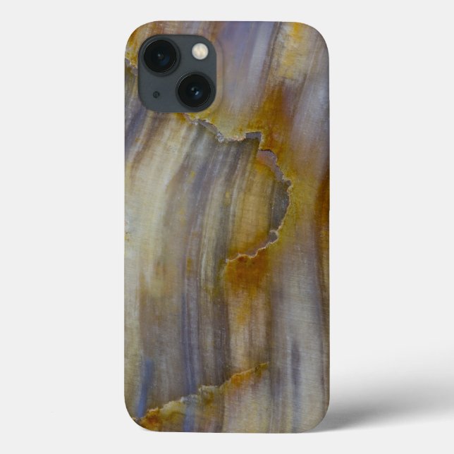 Coques Case-Mate iPhone Bois pétrifié ondulé (Verso)