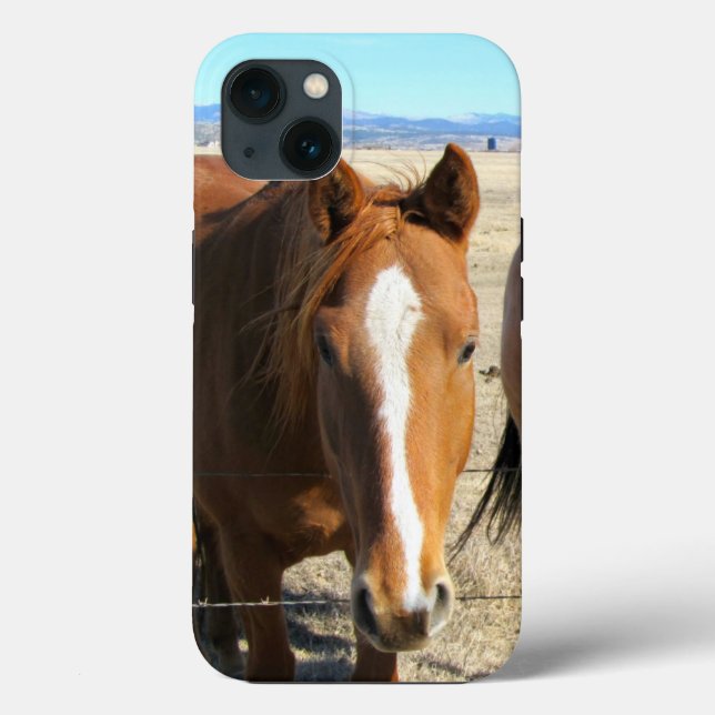 Coques Case-Mate iPhone Boîtes de téléphone à cheval (Verso)
