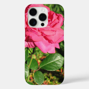 Coque iPhone 16 Pro Boîtes de téléphone rose