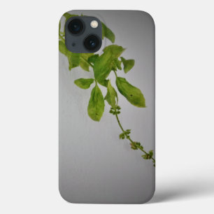 Case-Mate iPhone Case Boîtier Apple iphone 13 STYLE ART ET DESIGN