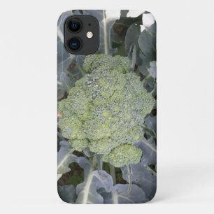 Coques Pour iPhone Boîtier Broccoli iPhone 3