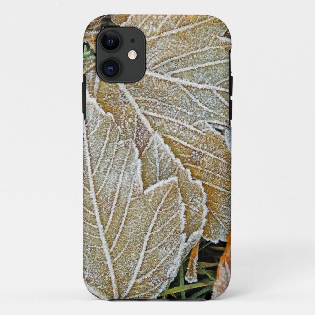Coques Case-Mate iPhone Boîtier Casemate pour iPhone 5 Frozen Maple (Dos)