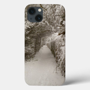 Case-Mate iPhone Case Boîtier d'air iPad Snowy Path