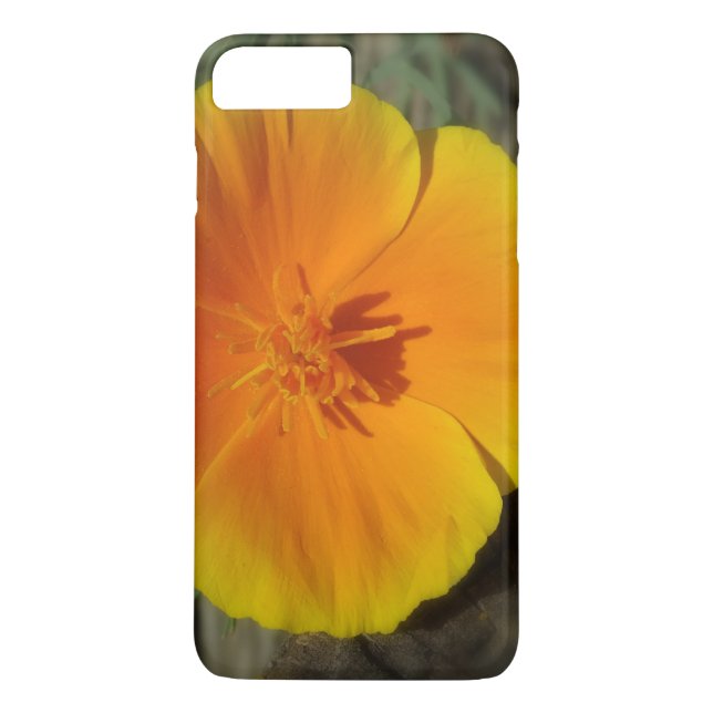 Coques Case-Mate iPhone Boîtier de photo de fleurs d'été (Dos)