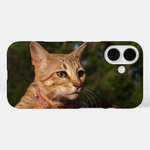 Coque Pour iPhone 16 Boîtier de téléphone de chat Savannah
