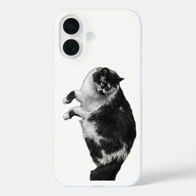 Coques Case-Mate iPhone Boîtier de téléphone de chat Whiskers (Verso)