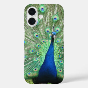 Coque Pour iPhone 16 Boîtier de téléphone - Fière Peacock