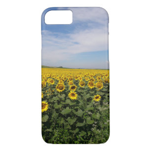 Case-Mate iPhone Case Boîtier de téléphone Fleur sauvage de tournesol