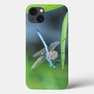iPhone 13 Case Boîtier de téléphone ou iPad Dragonfly bleu