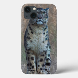 Coques Pour iPhone Boîtier iPad Leopard Lookout