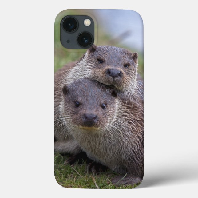 Coques Case-Mate iPhone Boîtier iPad Otterly in Love (Verso)