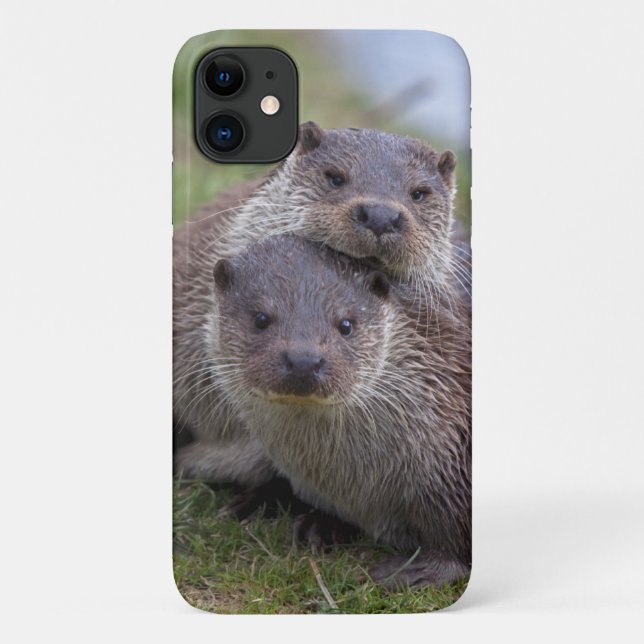 Coques Case-Mate iPhone Boîtier iPhone 11 Follement amoureux (Dos)