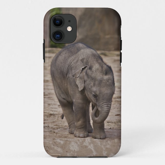 Coques Case-Mate iPhone Boîtier iPhone 5 Case-Mate Baby Elephant (Dos)