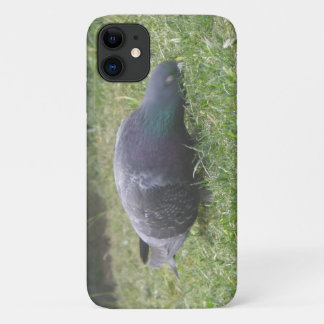Etui iPhone Case-Mate Boîtier Pigeon dormant 3