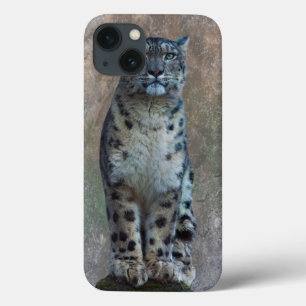Coques Pour iPhone Boîtier pour iPad Mini Leopard Lookout