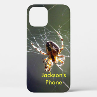 Coques Pour iPhone Boîtier téléphonique - Araignée sur le Web