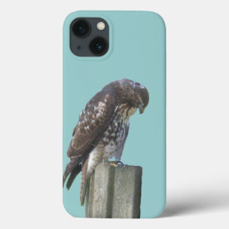Etui iPhone 13 Boîtier téléphonique - Falcon