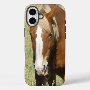 Coque Pour iPhone 16 Plus Boîtier téléphonique pour chevaux