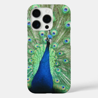 Coques iPhone 16 Pro Boîtier téléphonique - Proud paonP