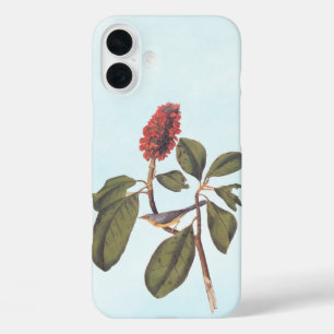 Coque Pour iPhone 16 Plus Bonaparte Moucherolle Canada Paruline Audubon Oise