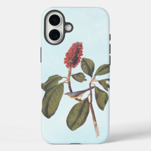 Coque Pour iPhone 16 Plus Bonaparte Moucherolle Canada Paruline Audubon Oise