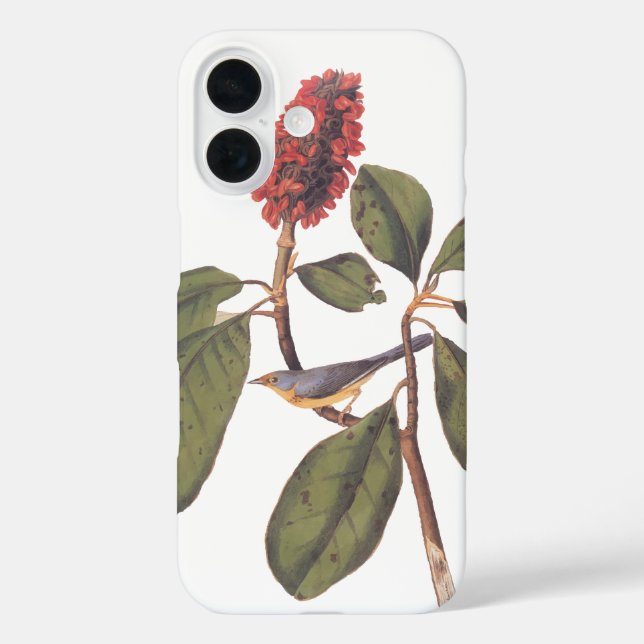 Coques Case-Mate iPhone Bonaparte Moucherolle Canada Paruline Audubon Oise (Verso)