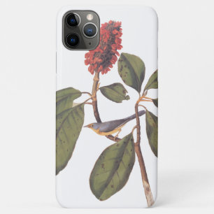 Case-Mate iPhone Case Bonaparte Moucherolle Canada Paruline Audubon Oise