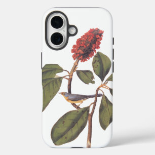 Coque Pour iPhone 16 Bonaparte Moucherolle Canada Paruline Audubon Oise