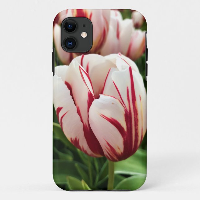 Coques Case-Mate iPhone Bonne Génération Tulip, Oregon (Dos)