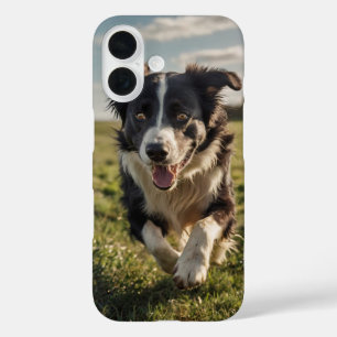 Coque Pour iPhone 16 Bordure Collie Herding