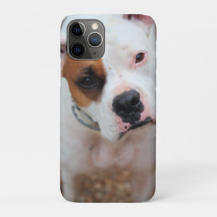 Case-Mate iPhone Case Boucle