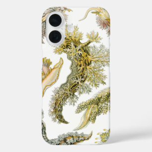 Coques iPhone 16 Boues de mer par Ernst Haeckel, Nudibranchia Vinta