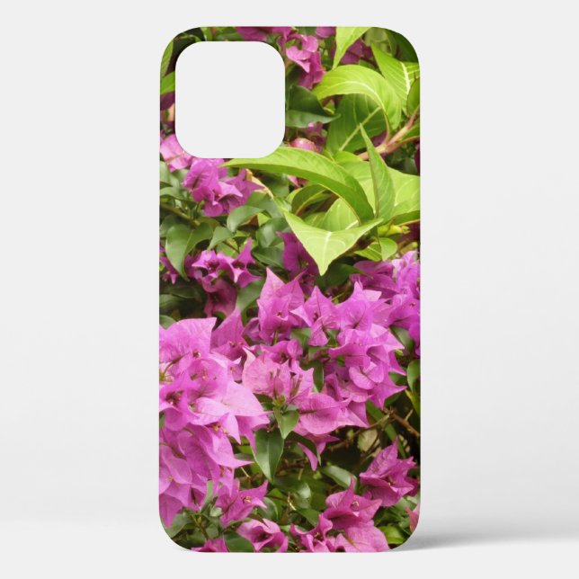 Coques Case-Mate iPhone Bougainvillées tropicales violettes (Verso)