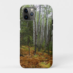 Case-Mate iPhone Case Bouleaux blancs et fougères d'automne aux montagne