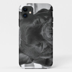 Coque iPhone 11 Bouledogue français
